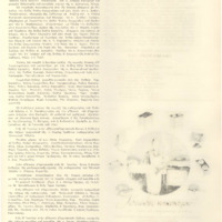 Ενδεικτική φωτογραφία τεκμηρίου