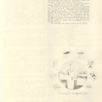 Ενδεικτική φωτογραφία τεκμηρίου