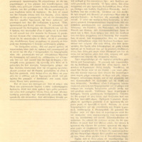 Ενδεικτική φωτογραφία τεκμηρίου