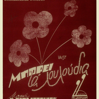 Ενδεικτική φωτογραφία τεκμηρίου