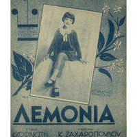 Ενδεικτική φωτογραφία τεκμηρίου