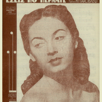 Ενδεικτική φωτογραφία τεκμηρίου