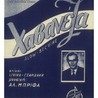 Ενδεικτική φωτογραφία τεκμηρίου