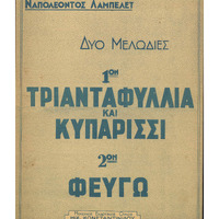 Ενδεικτική φωτογραφία τεκμηρίου