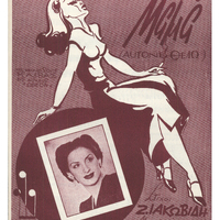 Ενδεικτική φωτογραφία τεκμηρίου