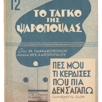 Ενδεικτική φωτογραφία τεκμηρίου